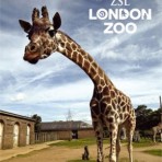 London Zoo