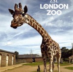 London Zoo