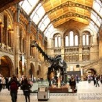 Natural History Museum