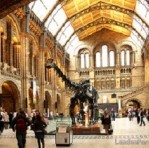 Natural History Museum