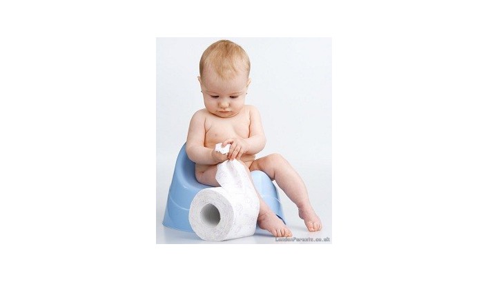 Potty training when to start