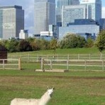 Mudchute Park and Farm