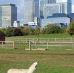 Mudchute Park and Farm