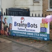 brainybots